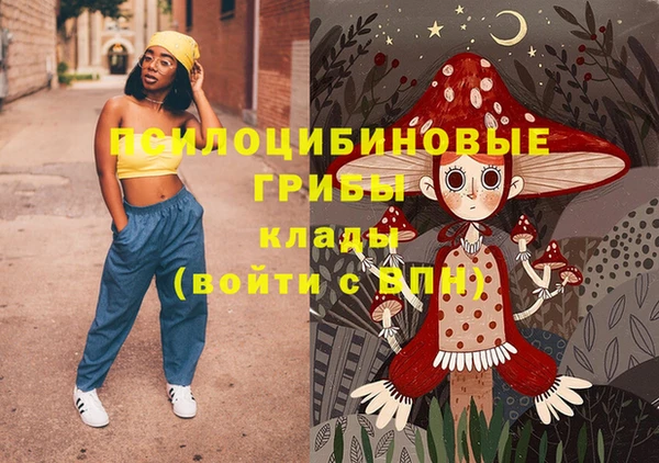 стаф Туринск