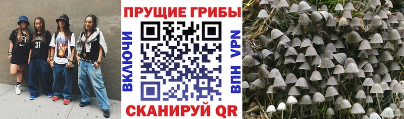 ОМГ ОМГ ссылка  Лукоянов  Псилоцибиновые грибы прущие грибы 